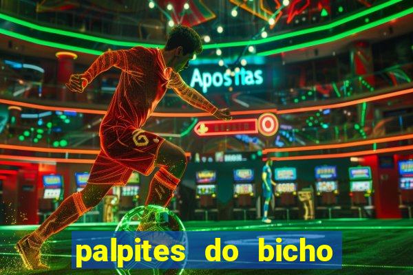 palpites do bicho no celular